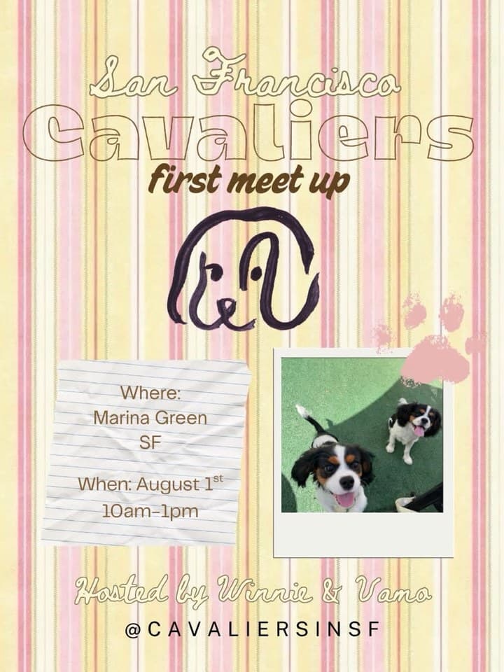 San Francisco Cavaliers First Meetup event poster